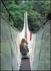 IE Amazon tour guests explore the rainforest from the Canopy Walkway.